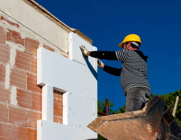 Best Specialized Insulation Services in Sur Hill, GA