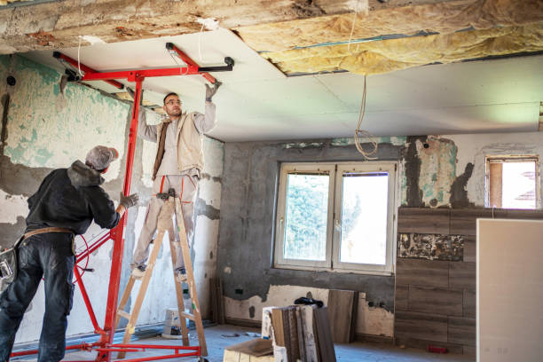 Best Eco-Friendly Insulation in Sur Hill, GA