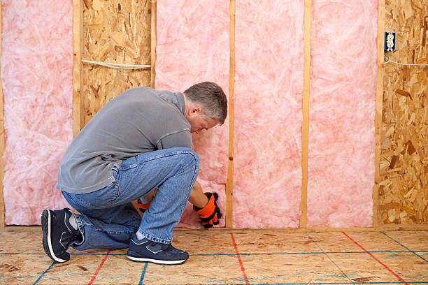 Best Spray Foam Insulation in Sur Hill, GA